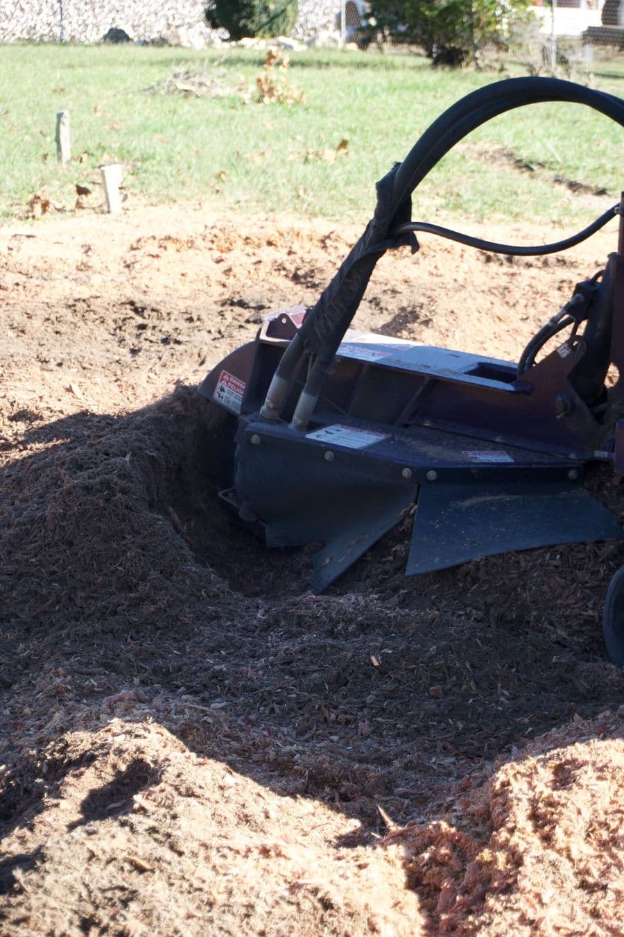 Close-up of the stump grinder's cutting head in the chips