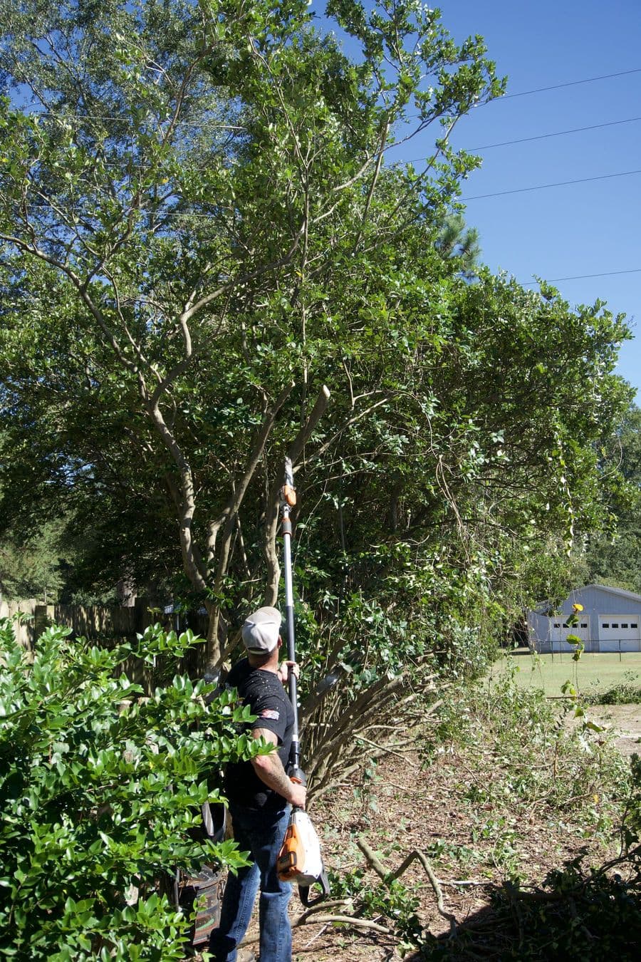 Crew member cutting back an overgrown tree beside a metal building with a pole saw