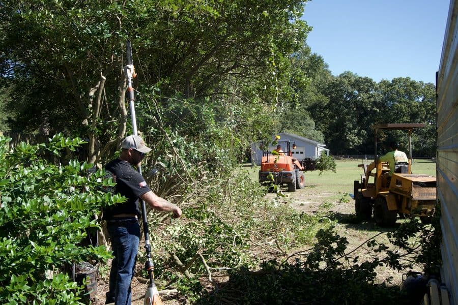 Tree Works crew member trimming overgrown trees with a pole saw, loader and stump grinder behind