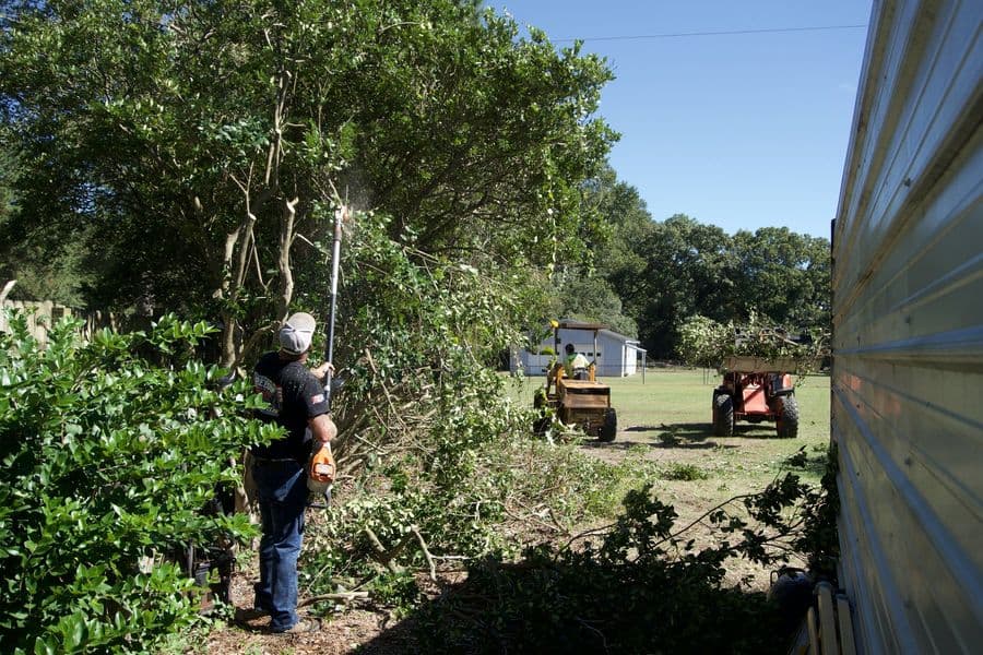 Crew member trimming trees beside a metal building, loader and grinder in the yard behind