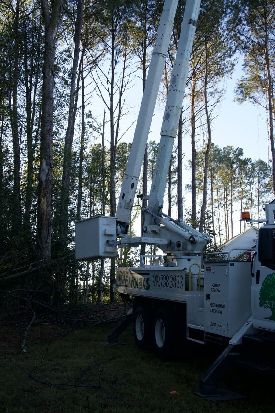 Tree Works bucket truck set up under the pines