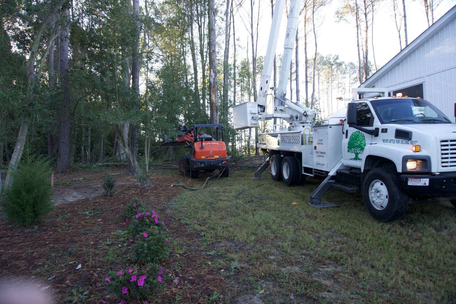 Tree Works bucket truck and Kubota loader working tall pines beside a house