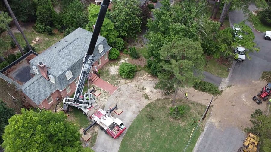 Overhead view of a crane removing tall pines beside a brick house, with the cleanup crew on the driveway