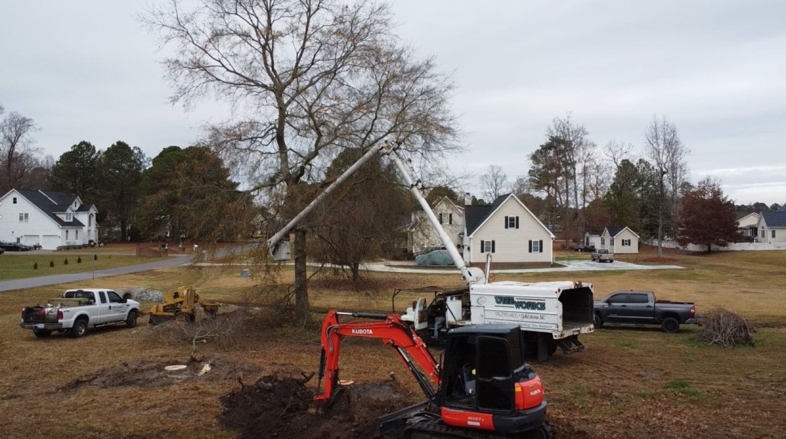 Tree Works bucket truck, chipper and Kubota excavator removing a large tree in a residential yard
